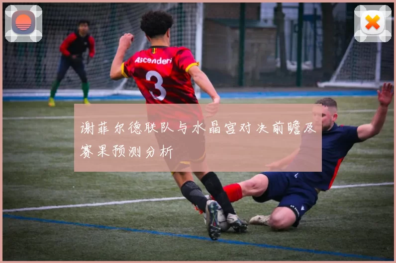 谢菲尔德联队与水晶宫对决前瞻及赛果预测分析