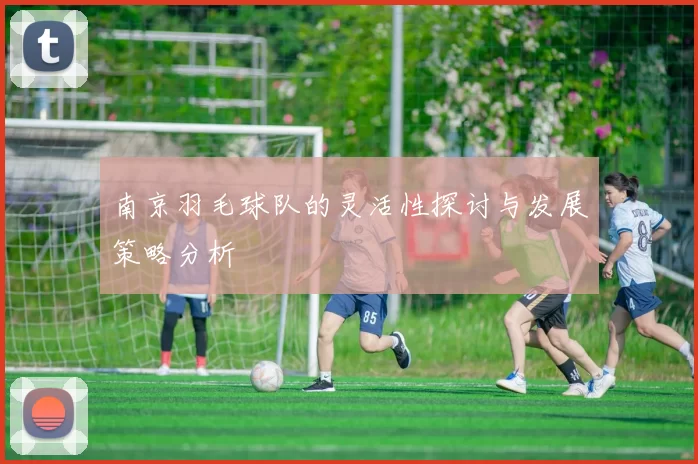 南京羽毛球队的灵活性探讨与发展策略分析