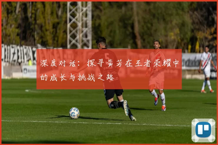 深度对话：探寻黄芳在王者荣耀中的成长与挑战之路