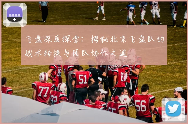 飞盘深度探索：揭秘北京飞盘队的战术转换与团队协作之道