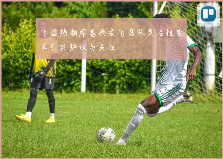 飞盘热潮席卷西安飞盘队灵活性变革引发热议与关注
