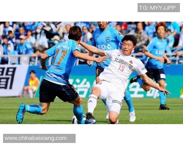 金泽塞维根与冈山绿雉激战正酣谁能在这场较量中笑到最后 金泽塞维根与冈山绿雉激战正酣谁能在这场较量中笑到最后