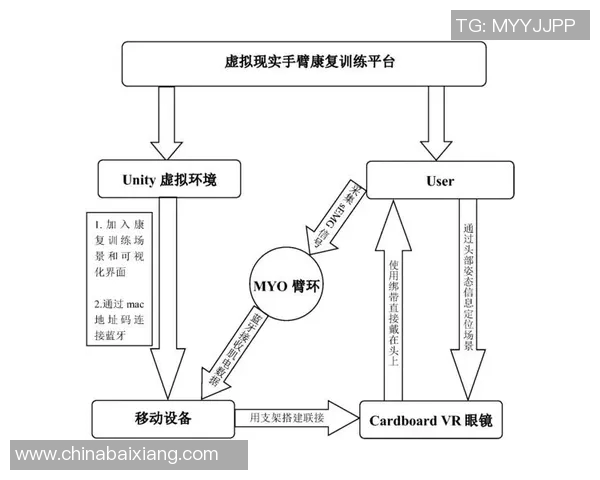 基于科学原理的高效训练方法解析与应用探讨