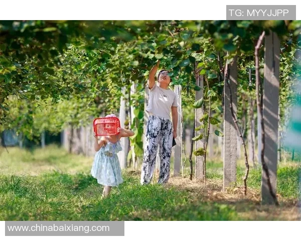 果园采摘乐趣:亲近大自然,享受丰收季节的甜美体验 果园采摘乐趣:亲近大自然,享受丰收季节的甜美体验
