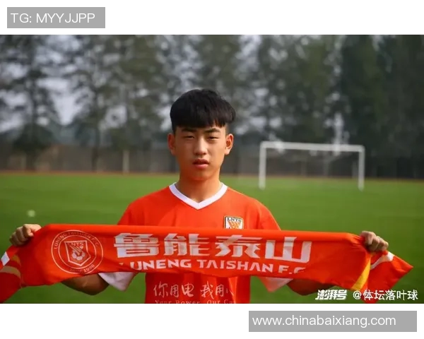 南京羽毛球队以71分稳居冠军赛积分榜首位展现强劲实力