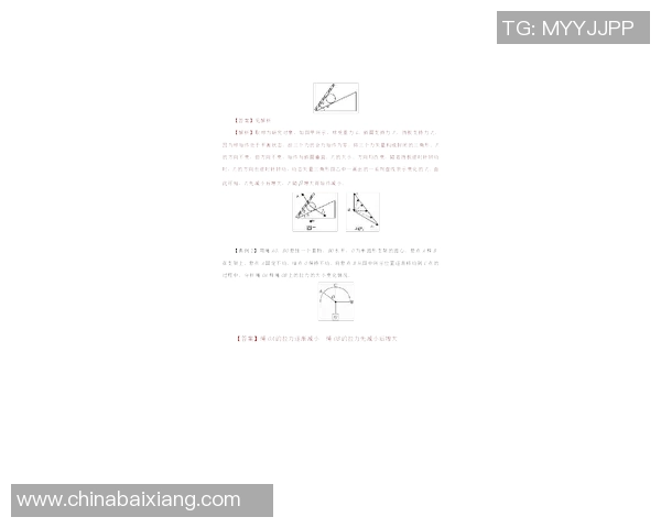 杭州羽毛球队的控制策略解析与热点动态分析