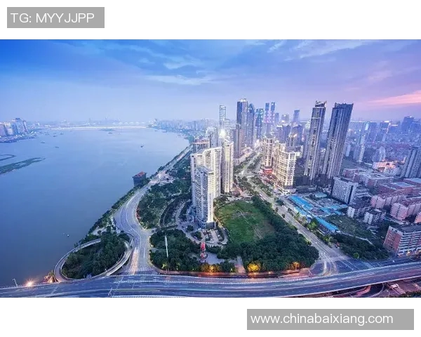 深入探讨上海羽毛球队实力对比与未来发展潜力分析