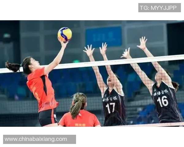 2023年排球实力榜单揭晓上海排球队稳居第一名