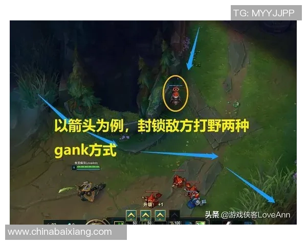 探索JDG战术精髓:区域防守体系的深度剖析与实战应用